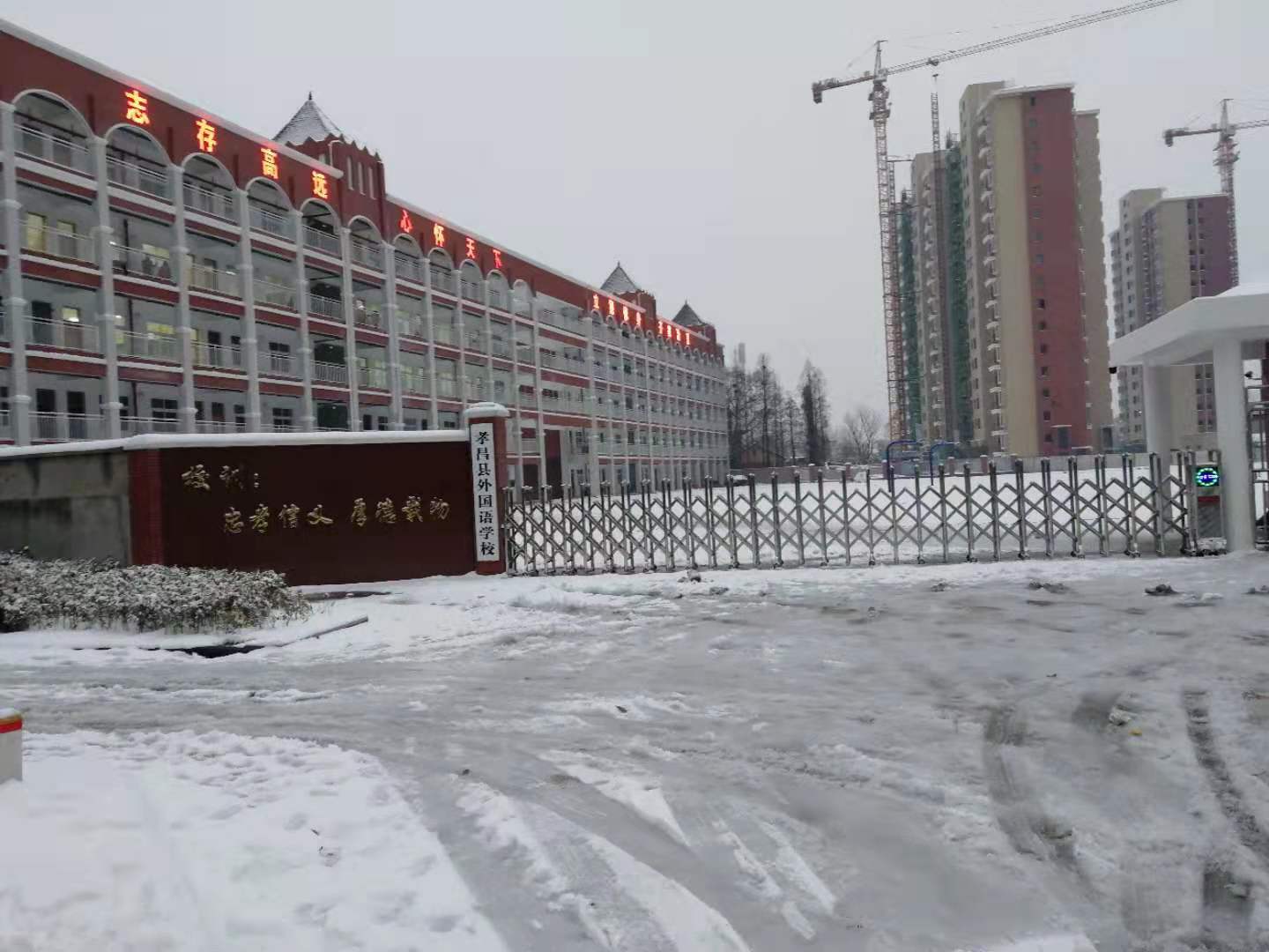 ����ʶ��һ���CYT-K804